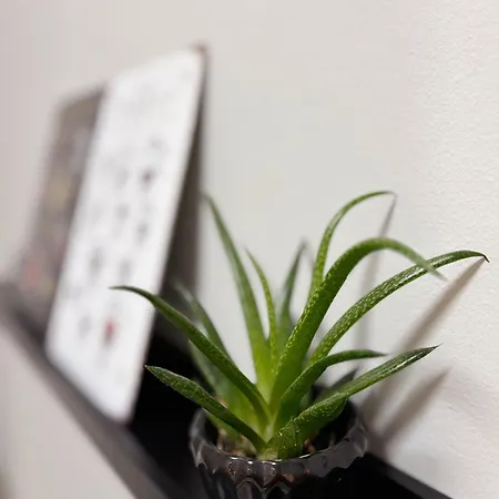 Altstadt - Wohnen Im Herzen Der Stadt * Koblenz